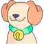 Pet Cleaning